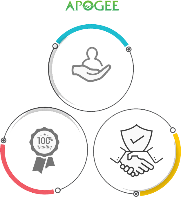Apogee core values
